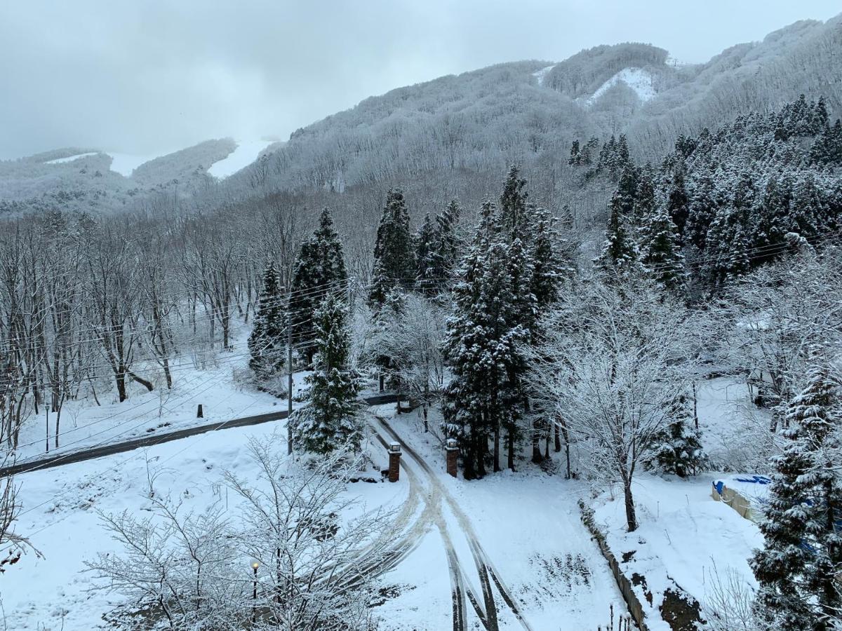 Wadano Forest Hotel&Apartments Hakuba Exterior foto